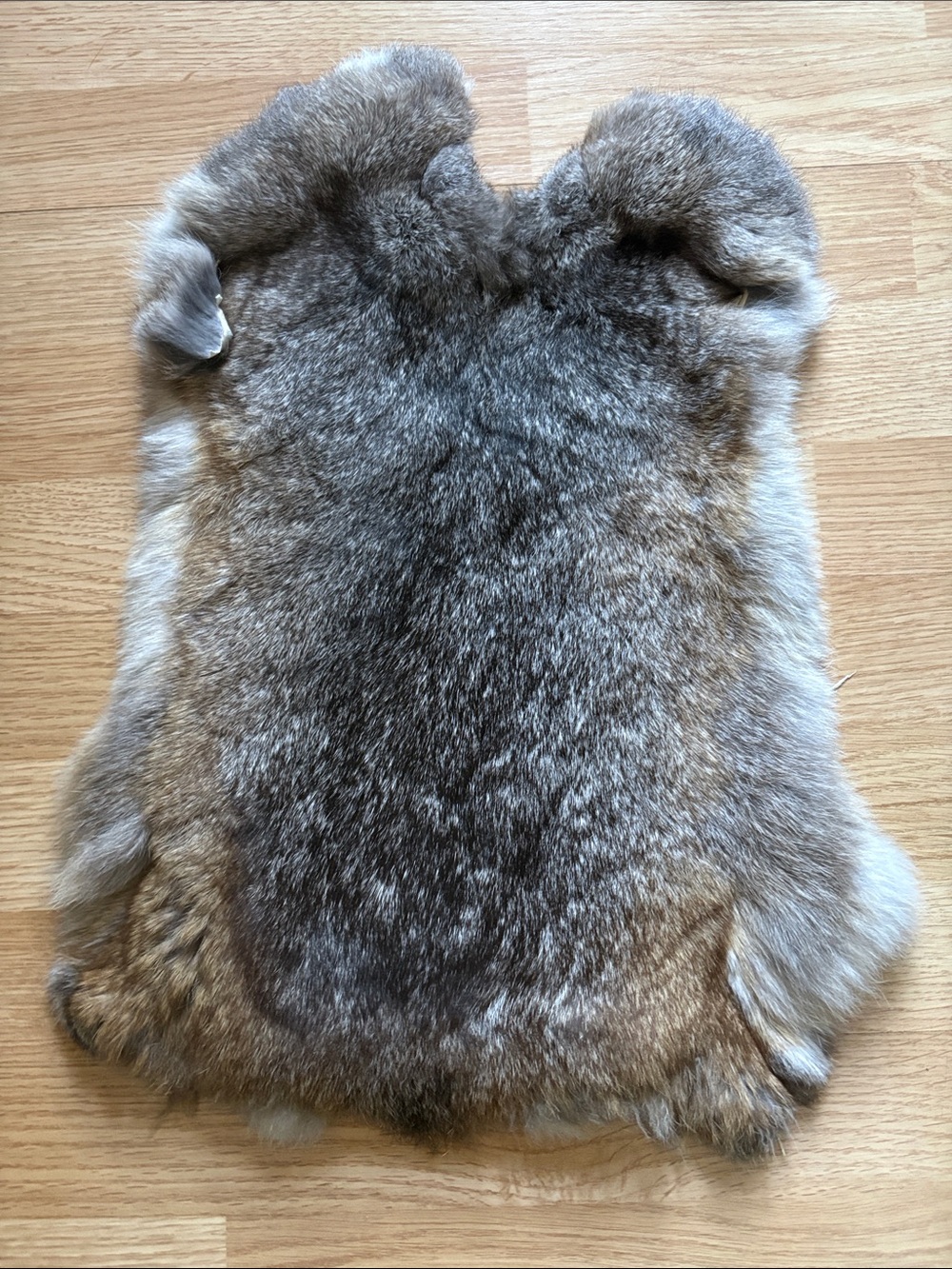 B0168 rabbit pelt